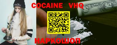 стафф Кингисепп