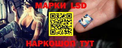 стафф Кингисепп