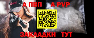 стафф Кингисепп