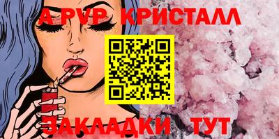 стафф Кингисепп