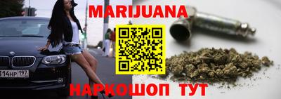 стафф Кингисепп