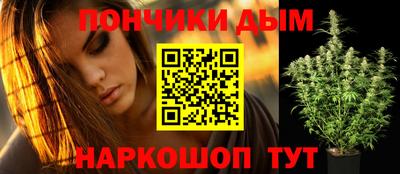 стафф Кингисепп