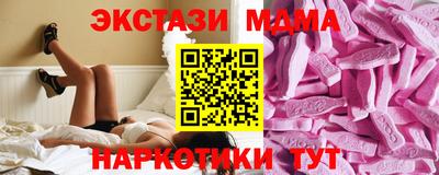 стафф Кингисепп