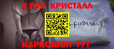 стафф Кингисепп